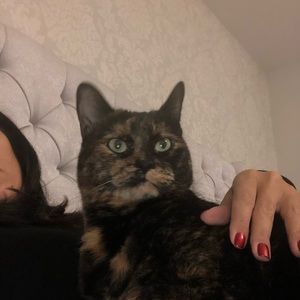 Meet your Posher, Mary